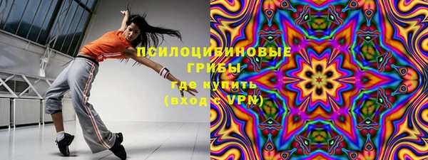 сатива Абаза