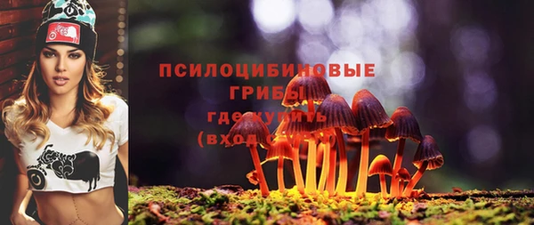 твердый Покровск
