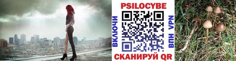 Псилоцибиновые грибы прущие грибы  Абдулино 